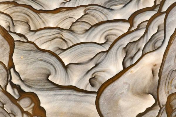 Oregon, Biggs Close-up of picture jasper stone